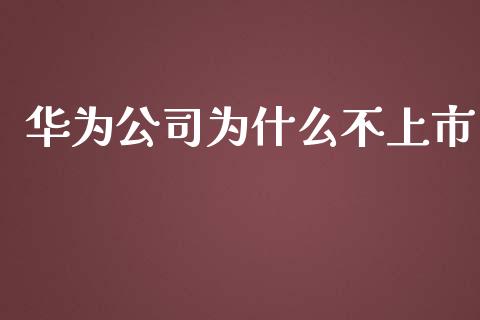 华为公司为什么不上市_https://m.fansifence.com_贵金属行情_第1张