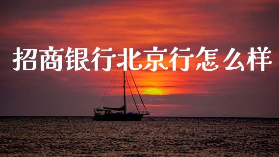 招商银行北京行怎么样_https://m.fansifence.com_个股行情_第1张