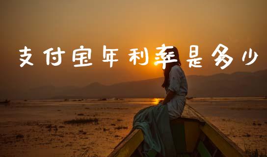 支付宝年利率是多少_https://m.fansifence.com_公募基金_第1张