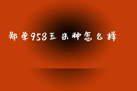 郑单958玉米种怎么样_https://m.fansifence.com_消费金融_第1张