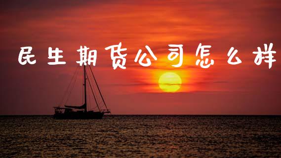 民生期货公司怎么样_https://m.fansifence.com_消费金融_第1张