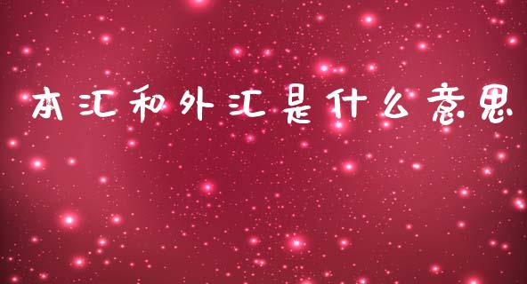 本汇和外汇是什么意思_https://m.fansifence.com_公募基金_第1张