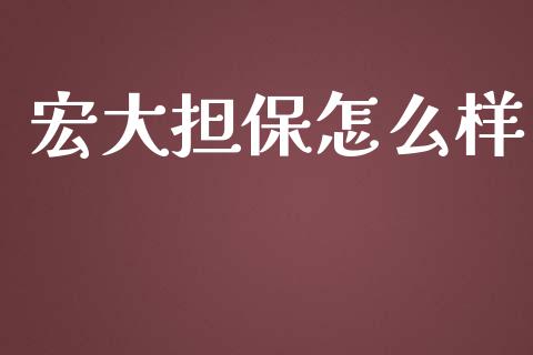 宏大担保怎么样_https://m.fansifence.com_消费金融_第1张