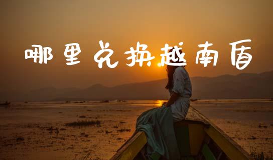 哪里兑换越南盾_https://m.fansifence.com_消费金融_第1张