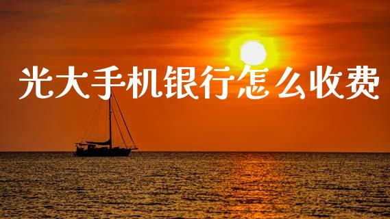 光大手机银行怎么收费_https://m.fansifence.com_个股行情_第1张