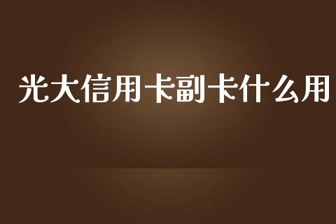 光大信用卡副卡什么用_https://m.fansifence.com_个股行情_第1张