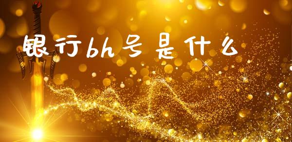 银行bh号是什么_https://m.fansifence.com_贵金属行情_第1张