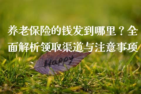 养老保险的钱发到哪里？全面解析领取渠道与注意事项_https://m.fansifence.com_消费金融_第1张