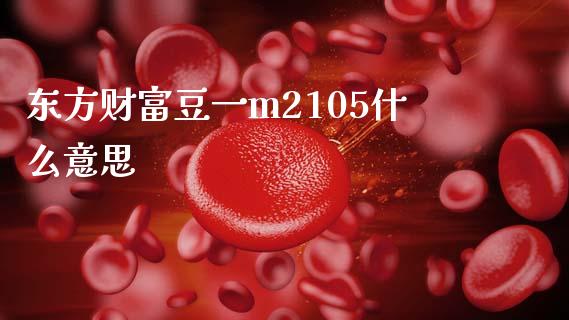 东方财富豆一m2105什么意思_https://m.fansifence.com_消费金融_第1张