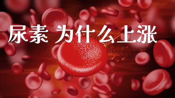 尿素 为什么上涨_https://m.fansifence.com_消费金融_第1张