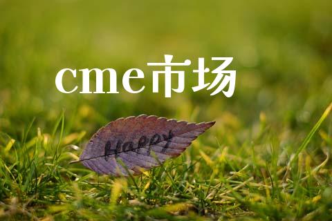 cme市场_https://m.fansifence.com_消费金融_第1张