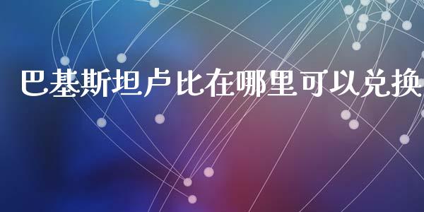巴基斯坦卢比在哪里可以兑换_https://m.fansifence.com_个股行情_第1张