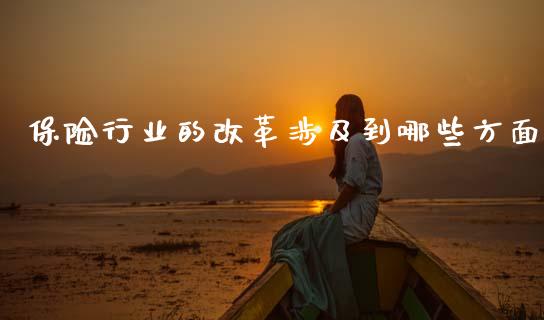 保险行业的改革涉及到哪些方面_https://m.fansifence.com_公募基金_第1张