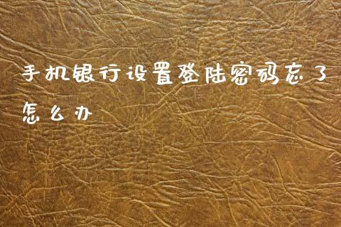 手机银行设置登陆密码忘了怎么办_https://m.fansifence.com_消费金融_第1张