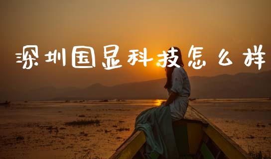 深圳国显科技怎么样_https://m.fansifence.com_公募基金_第1张