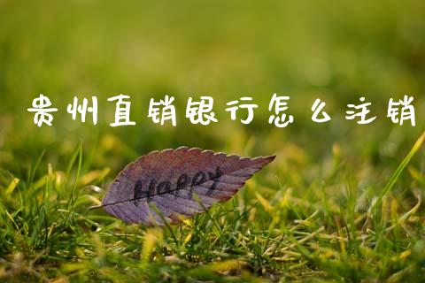贵州直销银行怎么注销_https://m.fansifence.com_个股行情_第1张