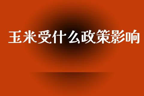 玉米受什么政策影响_https://m.fansifence.com_个股行情_第1张