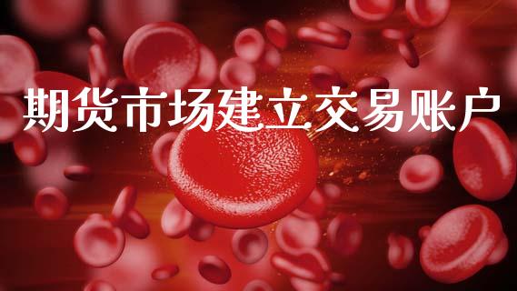 期货市场建立交易账户_https://m.fansifence.com_贵金属行情_第1张