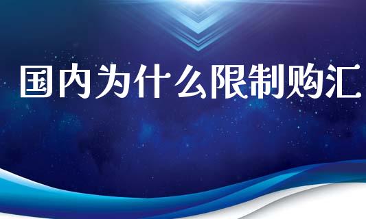 国内为什么限制购汇_https://m.fansifence.com_个股行情_第1张