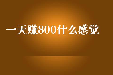 一天赚800什么感觉_https://m.fansifence.com_个股行情_第1张