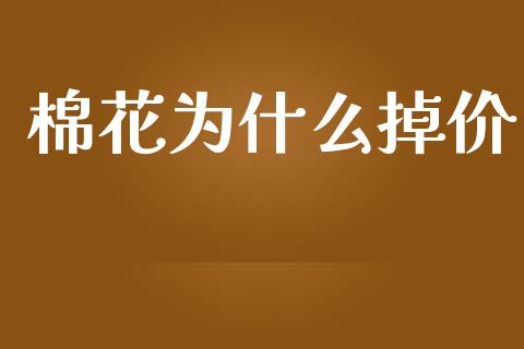 棉花为什么掉价_https://m.fansifence.com_消费金融_第1张