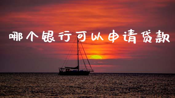 哪个银行可以申请贷款_https://m.fansifence.com_消费金融_第1张