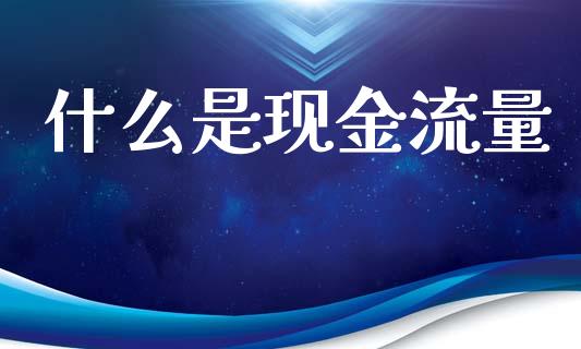 什么是现金流量_https://m.fansifence.com_消费金融_第1张