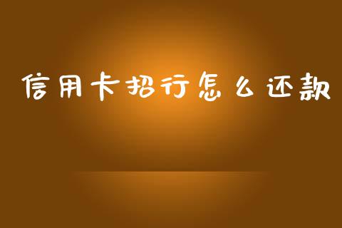 信用卡招行怎么还款_https://m.fansifence.com_消费金融_第1张