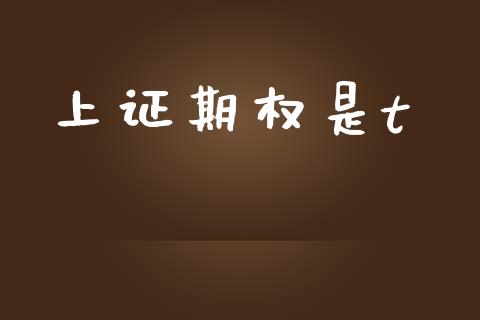 上证期权是t_https://m.fansifence.com_贵金属行情_第1张