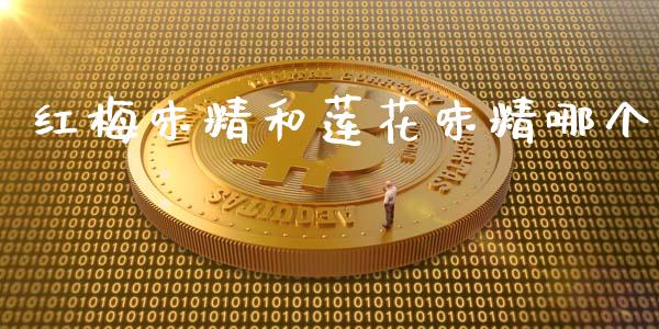 红梅味精和莲花味精哪个_https://m.fansifence.com_贵金属行情_第1张
