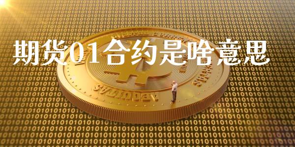 期货01合约是啥意思_https://m.fansifence.com_消费金融_第1张