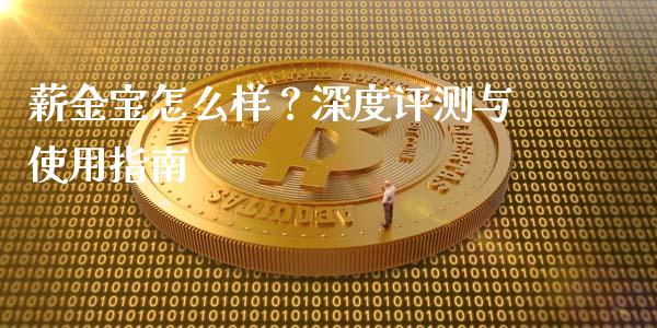 薪金宝怎么样？深度评测与使用指南_https://m.fansifence.com_消费金融_第1张