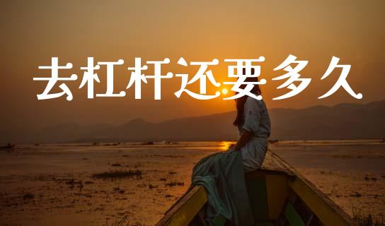 去杠杆还要多久_https://m.fansifence.com_贵金属行情_第1张