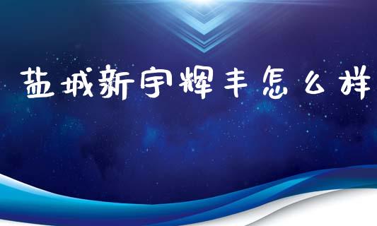 盐城新宇辉丰怎么样_https://m.fansifence.com_公募基金_第1张