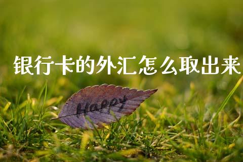 银行卡的外汇怎么取出来_https://m.fansifence.com_贵金属行情_第1张