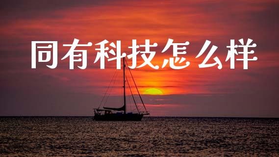 同有科技怎么样_https://m.fansifence.com_公募基金_第1张