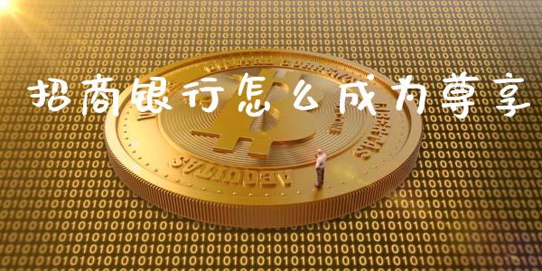 招商银行怎么成为尊享_https://m.fansifence.com_消费金融_第1张