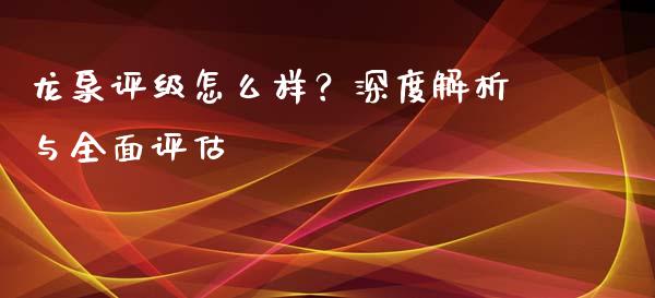 龙泉评级怎么样？深度解析与全面评估_https://m.fansifence.com_消费金融_第1张