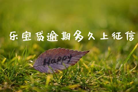 乐宝贷逾期多久上征信_https://m.fansifence.com_贵金属行情_第1张