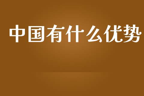 中国有什么优势_https://m.fansifence.com_消费金融_第1张