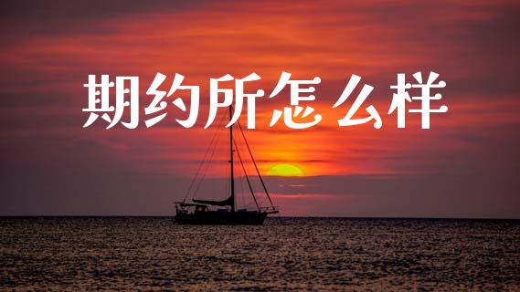 期约所怎么样_https://m.fansifence.com_公募基金_第1张