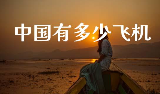 中国有多少飞机_https://m.fansifence.com_公募基金_第1张