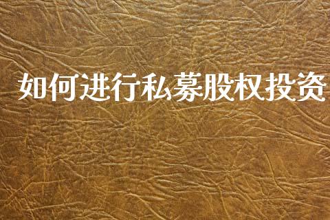 如何进行私募股权投资_https://m.fansifence.com_贵金属行情_第1张
