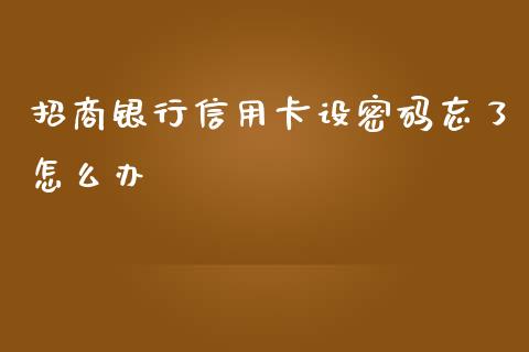 招商银行信用卡设密码忘了怎么办_https://m.fansifence.com_消费金融_第1张