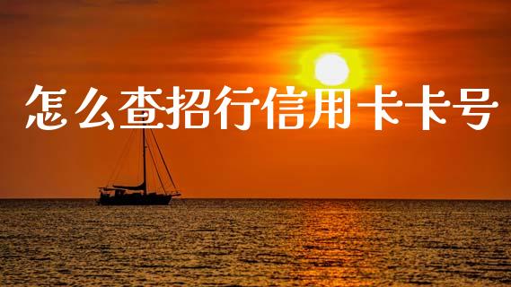 怎么查招行信用卡卡号_https://m.fansifence.com_贵金属行情_第1张