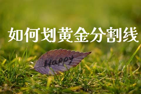 如何划黄金分割线_https://m.fansifence.com_贵金属行情_第1张