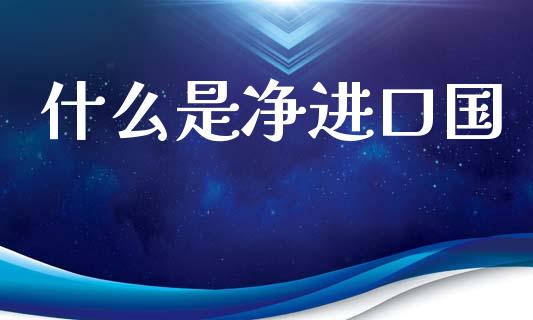 什么是净进口国_https://m.fansifence.com_个股行情_第1张