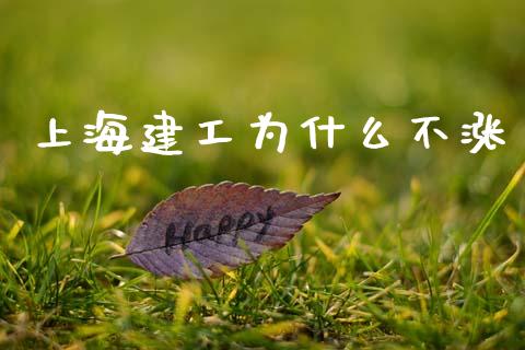 上海建工为什么不涨_https://m.fansifence.com_个股行情_第1张