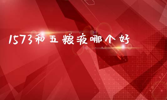 1573和五粮液哪个好_https://m.fansifence.com_公募基金_第1张