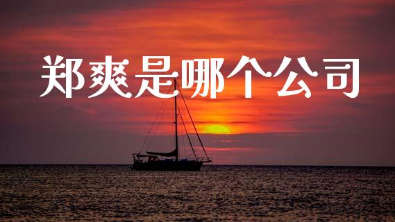 郑爽是哪个公司_https://m.fansifence.com_公募基金_第1张